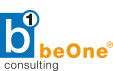b1 consulting