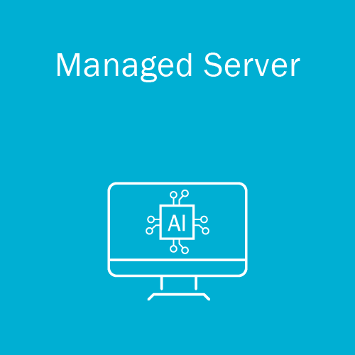 Managed Server